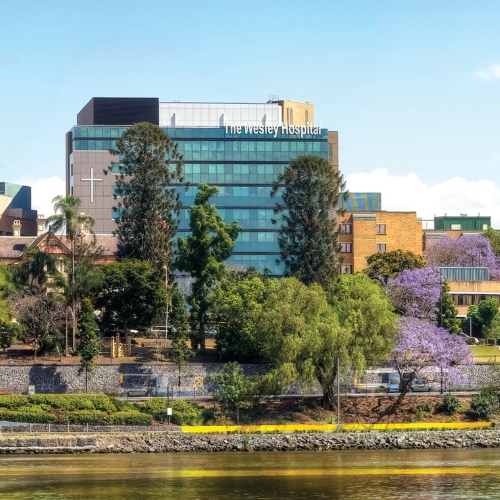 A photo of The Wesley Hospital from across the Brisbane river. The jacarandas are in bloom and the sun is shining bright. A photo of The Wesley Hospital from across the Brisbane river. The jacarandas are in bloom and the sun is shining bright.